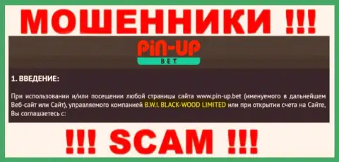 Юр. лицо организации ПинАп Бет - это B.W.I. BLACK-WOOD LIMITED, информация позаимствована с официального сайта