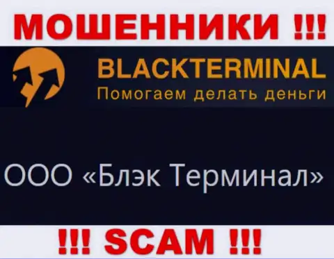 На официальном сайте BlackTerminal Ru сообщается, что юр. лицо компании - ООО Блэк Терминал