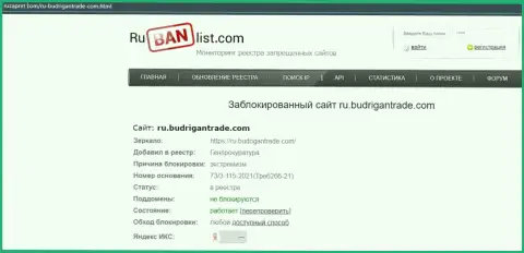 Веб-сервис Budrigan Ltd в пределах РФ заблокирован Генпрокуратурой