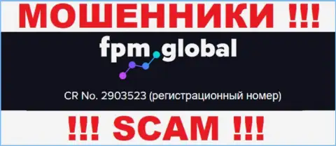 Во всемирной интернет сети работают ворюги FPM Global !!! Их номер регистрации: 2903523