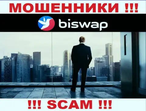 Кто именно руководит интернет-мошенниками BiSwap Org тайна покрытая мраком
